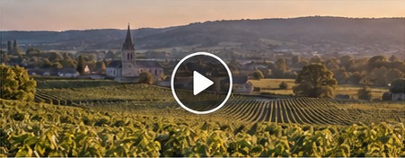 Vignoble bourguignon au coucher du soleil
